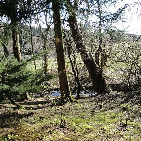 Ferienwohnung Wandervogel Braunlage Bagian luar foto