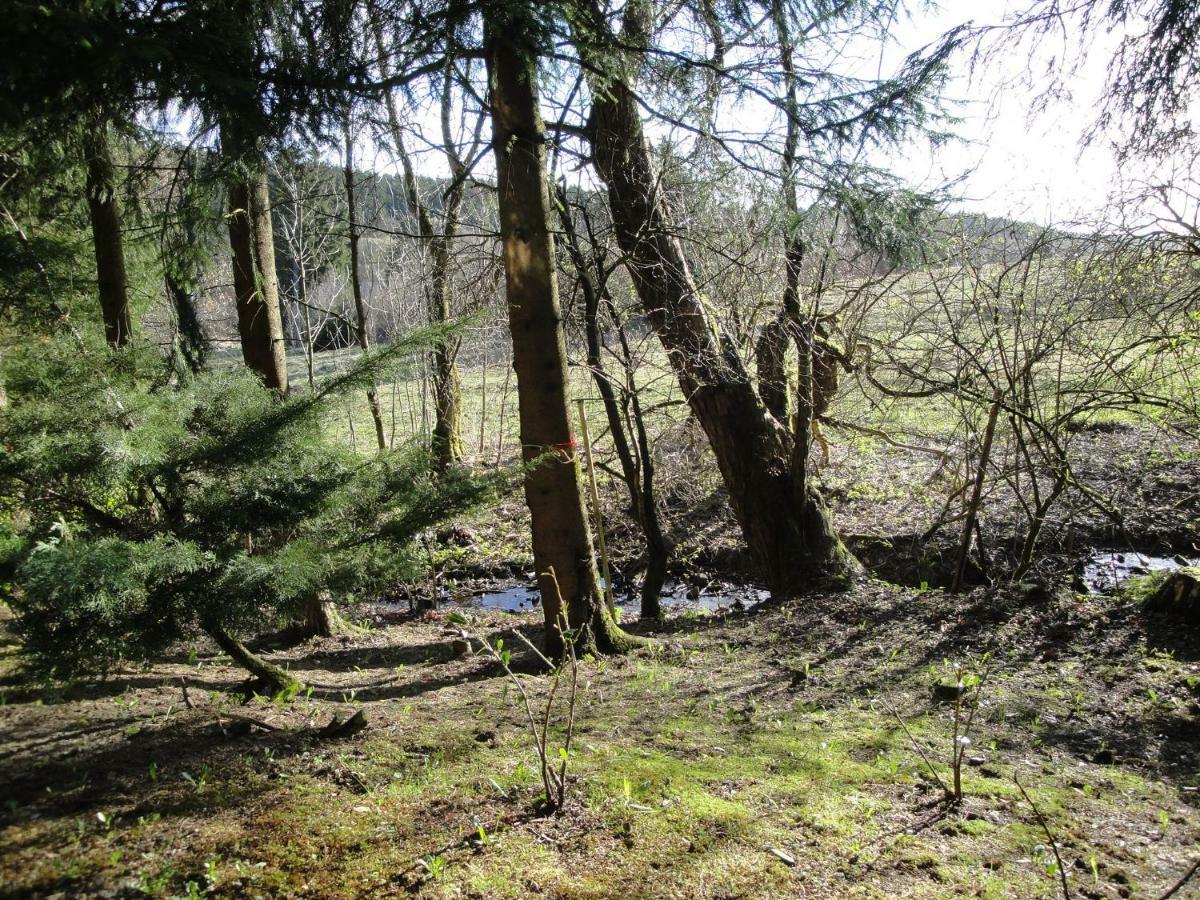 Ferienwohnung Wandervogel Braunlage Bagian luar foto