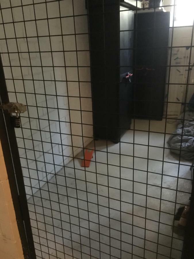 Ferienwohnung Wandervogel Braunlage Bagian luar foto